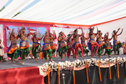 Shree Swaminarayan Gurukul International School-Dances